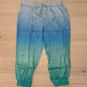 Badgley Mischka NWT Pants 3X